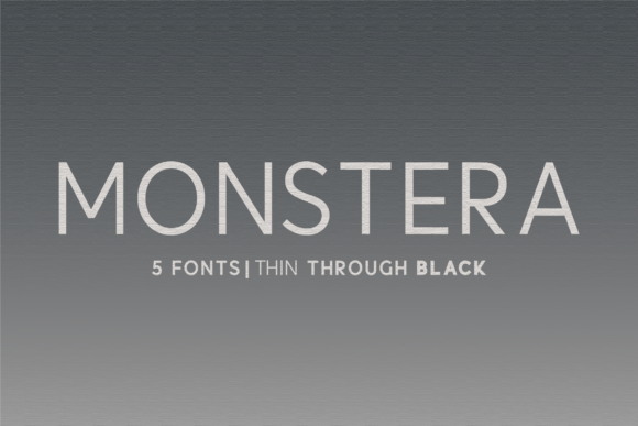Monstera: The Modern Font for Polished Branding